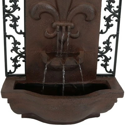 Best reviews of 𧨠Sunnydaze Decor Sunnydaze 33"H Solar-Powered Polystone French Lily Design Outdoor Wall-Mount Water Fountain, Weathered Iron Finish π₯° 5 Best reviews of 𧨠Sunnydaze Decor Sunnydaze 33"H Solar-Powered Polystone French Lily Design Outdoor Wall-Mount Water Fountain, Weathered Iron Finish π₯° - Image 3