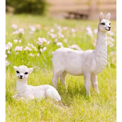 Top 10 π Wind & Weather Detailed Lying Baby Llama Indoor/Outdoor Resin Statue π₯ 3 Top 10 π Wind & Weather Detailed Lying Baby Llama Indoor/Outdoor Resin Statue π₯