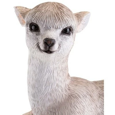Top 10 π Wind & Weather Detailed Lying Baby Llama Indoor/Outdoor Resin Statue π₯ 5 Top 10 π Wind & Weather Detailed Lying Baby Llama Indoor/Outdoor Resin Statue π₯ - Image 3