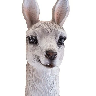 Top 10 π Wind & Weather Detailed Lying Baby Llama Indoor/Outdoor Resin Statue π₯ 11 Top 10 π Wind & Weather Detailed Lying Baby Llama Indoor/Outdoor Resin Statue π₯ - Image 9