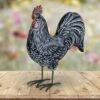 Best reviews of ⭐ 12.2" Resin Striped Rooster Statue Black and White - Exhart 🔥 -Garden Decor Shop unnamed file 810