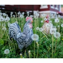 Best reviews of β 12.2" Resin Striped Rooster Statue Black and White - Exhart π₯ 26 Best reviews of β 12.2" Resin Striped Rooster Statue Black and White - Exhart π₯ -Garden Decor Shop unnamed file 821