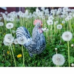 Best reviews of β 12.2" Resin Striped Rooster Statue Black and White - Exhart π₯ 27 Best reviews of β 12.2" Resin Striped Rooster Statue Black and White - Exhart π₯ -Garden Decor Shop unnamed file 822