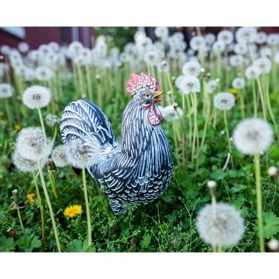 Best reviews of β 12.2" Resin Striped Rooster Statue Black and White - Exhart π₯ 15 Best reviews of β 12.2" Resin Striped Rooster Statue Black and White - Exhart π₯ - Image 13