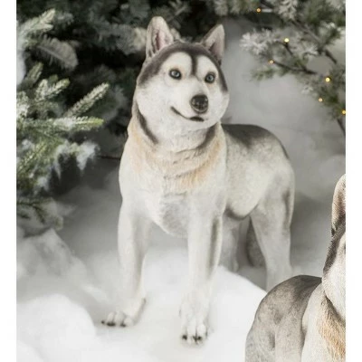 Cheap β¨ Wind & Weather Siberian Husky πΆ Dog Statue π₯ 1 Cheap β¨ Wind & Weather Siberian Husky πΆ Dog Statue π₯