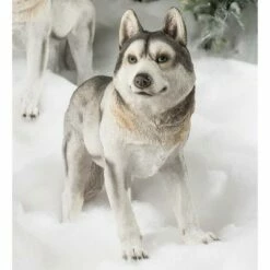 Cheap β¨ Wind & Weather Siberian Husky πΆ Dog Statue π₯ 3 Cheap β¨ Wind & Weather Siberian Husky πΆ Dog Statue π₯ -Garden Decor Shop unnamed file 838