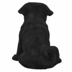 Top 10 π€© HI-LINE GIFT LTD 7.5" Polyresin Pug Puppy Statue Black - Hi-Line Gift π 9 Top 10 π€© HI-LINE GIFT LTD 7.5" Polyresin Pug Puppy Statue Black - Hi-Line Gift π -Garden Decor Shop unnamed file 874