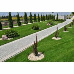 Discount ⌛ 5" Lifetime Professional Lawn And Garden Edging - Black - Master Mark Plastics 🌟 -Garden Decor Shop unnamed file 8803