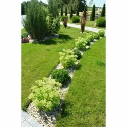 Discount ⌛ 5" Lifetime Professional Lawn And Garden Edging - Black - Master Mark Plastics 🌟 -Garden Decor Shop unnamed file 8805