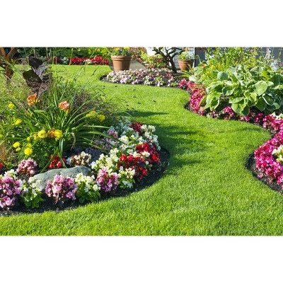 Promo π₯ 4.875" Gardener Pro Lawn And Garden Edging With 10 Stakes - Black - Master Mark Plastics βοΈ 4 Promo π₯ 4.875" Gardener Pro Lawn And Garden Edging With 10 Stakes - Black - Master Mark Plastics βοΈ - Image 2