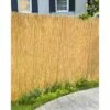 Top 10 🎁 6' x 16' Unpeeled Reed Fence Natural - Gardenpath 👏 -Garden Decor Shop unnamed file 8970