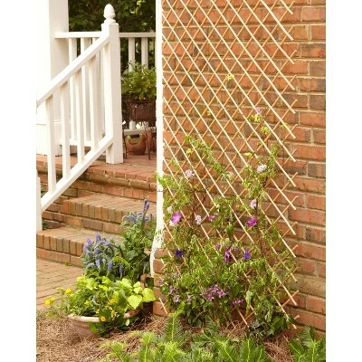 Brand new π Trellis 4' x 10' Extendable Border Garden Fence Tan - Gardenpath π 4 Brand new π Trellis 4' x 10' Extendable Border Garden Fence Tan - Gardenpath π - Image 2