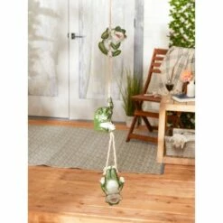 Best Sale π Zingz & Thingz Zingz & Thingz 30.25" Polyresin Frolicking Frogs Hanging Décor π€© 23 Best Sale π Zingz & Thingz Zingz & Thingz 30.25" Polyresin Frolicking Frogs Hanging Décor π€© -Garden Decor Shop unnamed file 907