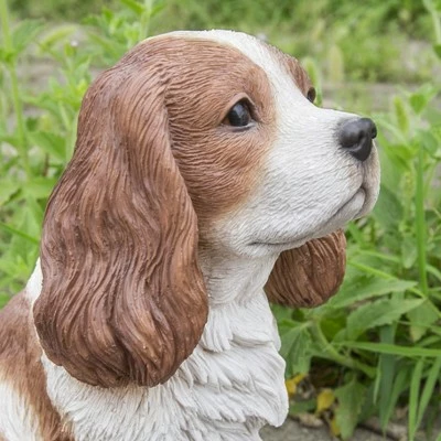 Flash Sale π― HI-LINE GIFT LTD 9" Polyresin Sitting King Charles Spaniel Outdoor Statue Brown/White - Hi-Line Gift π₯ 6 Flash Sale π― HI-LINE GIFT LTD 9" Polyresin Sitting King Charles Spaniel Outdoor Statue Brown/White - Hi-Line Gift π₯ - Image 4