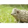 Budget π HI-LINE GIFT LTD 6" Wood Hedgehog Driftwood Outdoor Statue Brown - Hi-Line Gift π 2 Budget π HI-LINE GIFT LTD 6" Wood Hedgehog Driftwood Outdoor Statue Brown - Hi-Line Gift π -Garden Decor Shop unnamed file 921