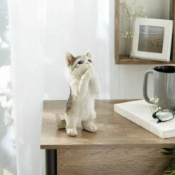 Deals 🌟 Zingz & Thingz Zingz & Thingz 9" Polyresin Pretty Please Cat Garden Figurine 🤩 -Garden Decor Shop unnamed file 9271