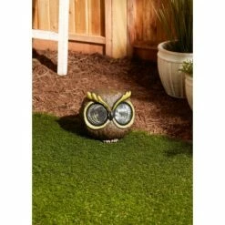 Best deal π Zingz & Thingz Zingz & Thingz 5.5" Polyresin Solar Owl Figurine Brown π― 18 Best deal π Zingz & Thingz Zingz & Thingz 5.5" Polyresin Solar Owl Figurine Brown π― -Garden Decor Shop unnamed file 9306