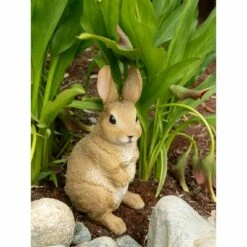 Best Sale 🤩 Zingz & Thingz Zingz & Thingz 5.25" Polyresin Curiously Cute Bunny Garden Figurine Brown 👍