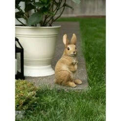 Best Sale 🤩 Zingz & Thingz Zingz & Thingz 5.25" Polyresin Curiously Cute Bunny Garden Figurine Brown 👍 -Garden Decor Shop unnamed file 9309