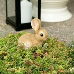 Best Pirce 😍 Zingz & Thingz Zingz & Thingz 4.5" Polyresin Vivid Bunny Garden Figurine Tan ✨ -Garden Decor Shop unnamed file 9325