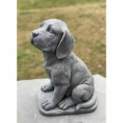 Hot Sale 🔥 Sagebrook Home 16" Resin Puppy Looking Up Outdoor Statue Gray 😀 -Garden Decor Shop unnamed file 9384