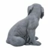 Outlet 🔥 Sagebrook Home 14" Resin Sitting Puppy Outdoor Statue Light Gray 😀 -Garden Decor Shop unnamed file 9401