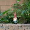 Promo 🧨 15" Polyresin Gnome Holding A Birdhouse Statue - Alpine Corporation 🎉 -Garden Decor Shop unnamed file 9659