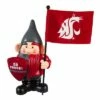 Cheap 🌟 Evergreen Washington State University, Flag Holder Gnome 😀 -Garden Decor Shop unnamed file 9715