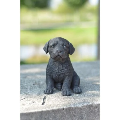 Budget ❤️ HI-LINE GIFT LTD 6.5" Polyresin Labrador Puppy Black - Hi-Line Gift ⭐ 6 Budget ❤️ HI-LINE GIFT LTD 6.5" Polyresin Labrador Puppy Black - Hi-Line Gift ⭐ - Image 4