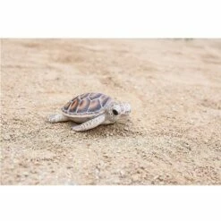 Wholesale 💯 HI-LINE GIFT LTD 2" Polyresin Small Sea Turtle Outdoor Statue Brown - Hi-Line Gift 🌟 -Garden Decor Shop unnamed file 995